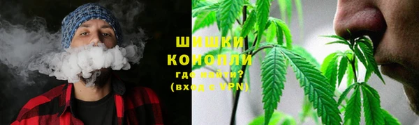 спайс Горняк