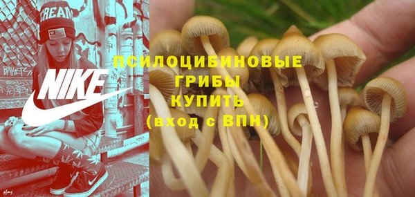 мет Ижевск