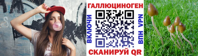 где продают наркотики  Минеральные Воды  ссылка на мегу ссылка  Галлюциногенные грибы MAGIC MUSHROOMS 